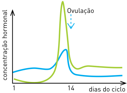 Gráfico de concentração hormonal com pico acentuado de LH no 14º dia