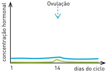 Gráfico de concentração hormonal com níveis baixos e estáveis de FSH e LH ao longo do ciclo