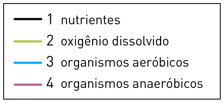 Legenda dos gráficos: 1 nutrientes; 2 oxigênio dissolvido; 3 organismos aeróbicos; 4 organismos anaeróbicos