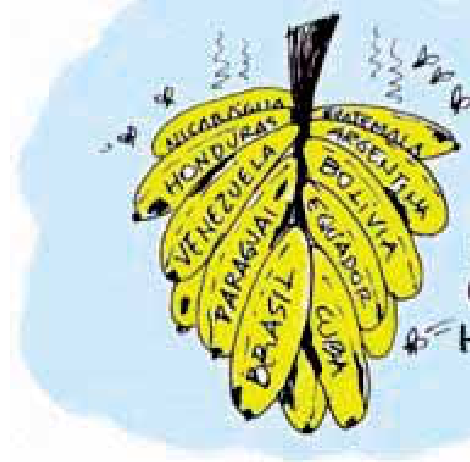 F1 Charge de um cacho de bananas amarelas, cercado por moscas e linhas onduladas. As bananas têm nomes de países latino-americanos: Nicarágua, Honduras, Venezuela, Paraguai, Brasil, Guatemala, Argentina, Bolívia, Equador e Cuba.