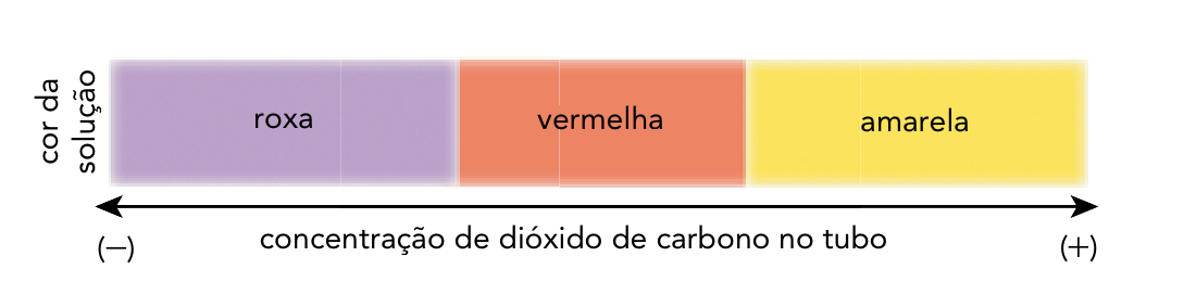 F2 Escala da cor da solução, com três faixas consecutivas: roxa, vermelha e amarela. À esquerda aparece o rótulo “cor da solução”. Abaixo, uma seta horizontal com pontas nas duas extremidades representa a “concentração de dióxido de carbono no tubo”, com o sinal (−) à esquerda, sob a faixa roxa, e o sinal (+) à direita, sob a faixa amarela.
