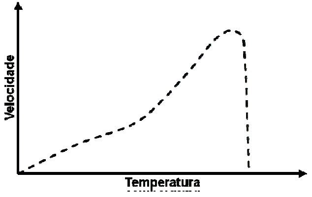 Gráfico de velocidade da fotossíntese em função da temperatura, com o eixo vertical identificado como “Velocidade” e o horizontal como “Temperatura”, ambos sem valores numéricos. Uma curva tracejada parte da origem, cresce com a temperatura até atingir um máximo e então cai abruptamente até próximo do eixo horizontal.