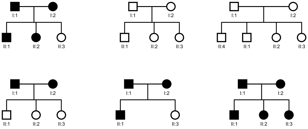 Seis heredogramas dispostos em duas linhas e três colunas. No primeiro da linha superior, um casal afetado (macho I:1 e fêmea I:2) possui três filhos: II:1 afetado, II:2 afetada e II:3 normal. No segundo, um casal não afetado gera três filhos não afetados (II:1, II:2 e II:3). No terceiro, um casal não afetado gera quatro filhos não afetados (II:4, II:1, II:2 e II:3). Na linha inferior, o primeiro mostra um casal afetado com três filhos não afetados (II:1, II:2 e II:3); o segundo mostra um casal afetado com dois filhos: II:1 afetado e II:3 não afetada; e o terceiro mostra um casal afetado com três filhos afetados (II:1, II:2 e II:3). Os quadrados representam homens e os círculos representam mulheres; símbolos preenchidos de preto indicam indivíduos com a anomalia.