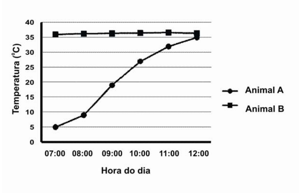 F1 Gráfico de linhas mostrando a temperatura em graus Celsius em função da hora do dia (das 07:00 às 12:00) para o Animal A e o Animal B. O Animal A apresenta temperatura crescente de 5 °C a 35 °C, enquanto o Animal B mantém temperatura praticamente constante em torno de 36 °C a 37 °C.