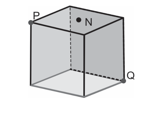 Cubo em perspectiva isométrica mostrando o ponto P em um vértice superior esquerdo, o ponto N no centro da face superior e o ponto Q em um vértice inferior direito oposto.