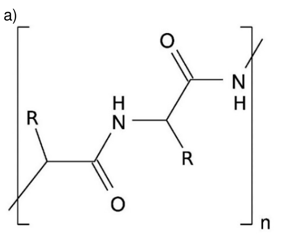 Cadeia polimérica entre colchetes, com índice n, formada pelo segmento –CH(R)–C(=O)–NH–CH(R)–C(=O)–NH–. Os dois carbonos CH apresentam grupos laterais R.