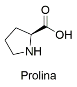 F1 Fórmula estrutural da prolina