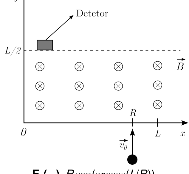 F2 Diagrama no plano xy, com origem 0 e eixo x orientado para a direita. No eixo x estão assinaladas as posições R e L. Um próton, representado por um círculo preto abaixo do eixo na posição x = R, tem velocidade inicial v₀ orientada para cima. Na região acima do eixo x, doze círculos com cruzes, dispostos em três linhas e quatro colunas, representam o campo magnético B perpendicular ao plano e entrando na página. Uma linha horizontal tracejada na altura L/2 passa pela base de um pequeno retângulo cinza próximo ao eixo vertical, identificado por uma seta e pelo texto “Detetor”.