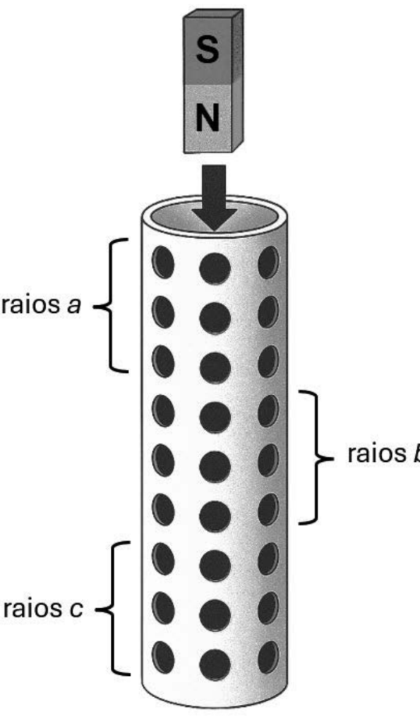 Tubo cilíndrico vertical, aberto no topo, com furos igualmente espaçados distribuídos em três regiões. Chaves identificam a região superior como “raios a”, a intermediária como “raios b” e a inferior como “raios c”. Cada região apresenta três fileiras de três furos visíveis. Acima da abertura há um ímã com polo S na parte superior e polo N na inferior, e uma seta aponta para baixo, para o interior do tubo.