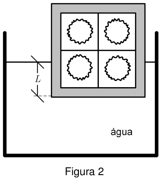 F2 Figura 2: corte do cubo parcialmente submerso em água dentro de um recipiente aberto. O cubo apresenta uma camada externa cinza e quatro regiões internas com cavidades de ar. A distância vertical entre a superfície da água e a base do cubo é indicada por L. Rótulo visível no recipiente: “água”.