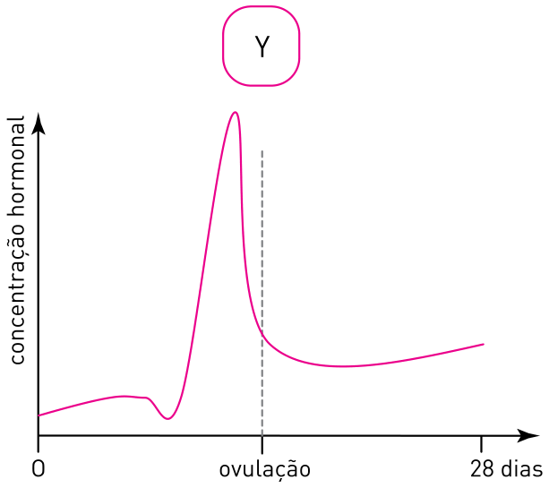F3 Gráfico Y da concentração hormonal ao longo do ciclo de 28 dias
