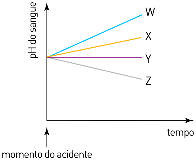 Gráfico com eixo vertical "pH do sangue" e eixo horizontal "tempo". A partir do ponto inicial correspondente ao "momento do acidente", partem quatro retas: W (crescente mais inclinada), X (crescente menos inclinada), Y (constante/horizontal) e Z (decrescente).