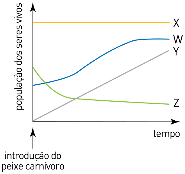 F1 Gráfico de população dos seres vivos versus tempo, indicando a introdução do peixe carnívoro na origem do eixo horizontal. O gráfico apresenta quatro curvas: X (linha reta horizontal amarela no nível superior), W (curva azul ascendente que se estabiliza em nível alto), Y (reta cinza ascendente que parte da origem) e Z (curva verde descendente que se estabiliza em nível baixo).