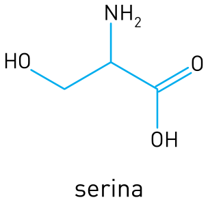 Fórmula estrutural da serina
