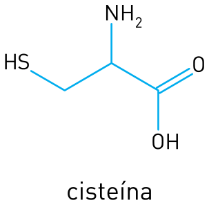F3 Fórmula estrutural da cisteína