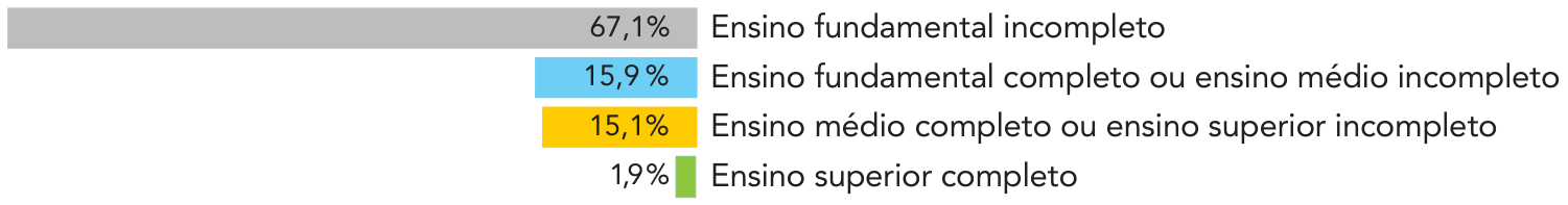 Gráfico de barras horizontais indicando a distribuição percentual por nível de escolaridade: Ensino fundamental incompleto (67,1%), Ensino fundamental completo ou ensino médio incompleto (15,9%), Ensino médio completo ou ensino superior incompleto (15,1%) e Ensino superior completo (1,9%).