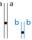 F2 Arranjo com dois cromossomos duplicados: um longo, preto, com duas cromátides identificadas por a e a, e um curto, azul, com duas cromátides identificadas por b e b. Cada par de cromátides apresenta um ponto preto indicando o centrômero.