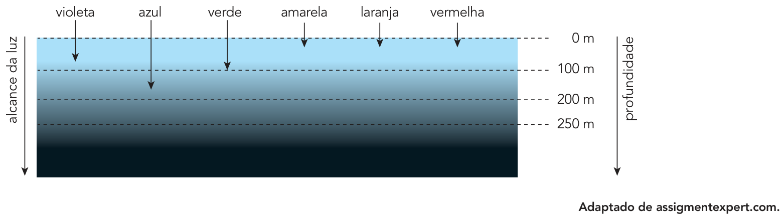 Diagrama de penetração e alcance da luz na água de 0 m a 250 m para as cores violeta, azul, verde, amarela, laranja e vermelha