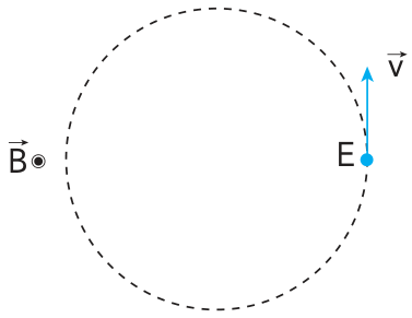 Esquema mostrando a trajetória circular tracejada descrita pelo elétron E, com o vetor velocidade vertical voltado para cima e o campo magnético perpendicular apontando para fora do plano.