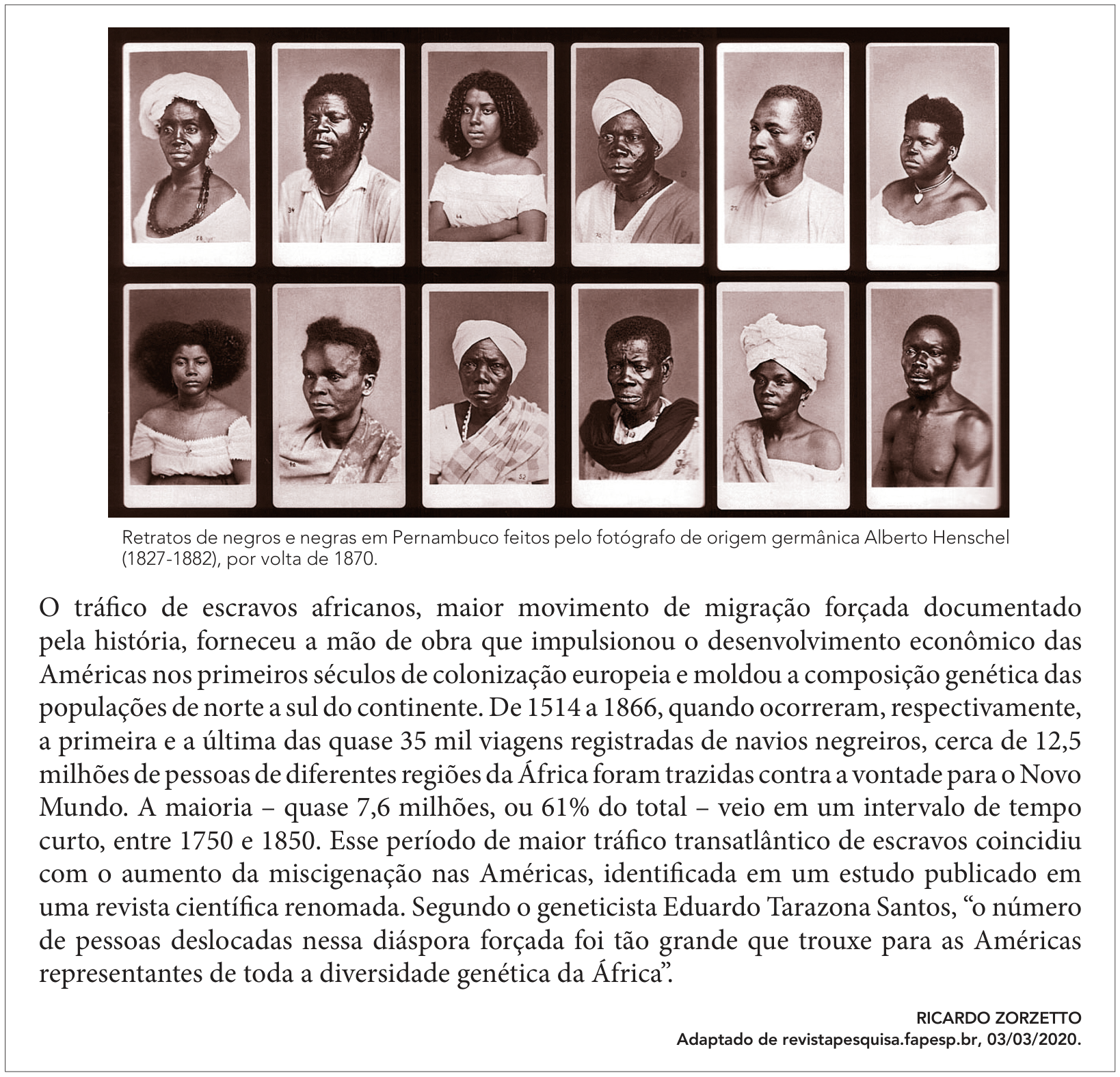 Quadro contendo doze retratos fotográficos em preto e branco de homens e mulheres negros em Pernambuco, por volta de 1870, dispostos em duas fileiras de seis imagens cada. Abaixo das fotos, há uma legenda indicando a autoria de Alberto Henschel, acompanhada por um texto informativo sobre o tráfico transatlântico de escravos africanos e a diversidade genética nas Américas, com citação do geneticista Eduardo Tarazona Santos e crédito bibliográfico de Ricardo Zorzetto.