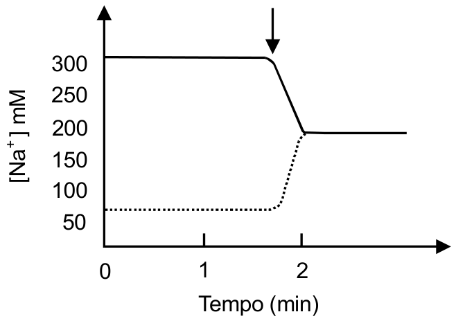 Gráfico da concentração de sódio [Na+] em mM em função do tempo em minutos. A linha cheia (concentração extracelular) começa em 310 mM e a linha pontilhada (concentração intracelular) em 70 mM. Uma seta aponta para o instante t ≈ 1,7 min, a partir do qual a concentração extracelular diminui e a intracelular aumenta até ambas se estabilizarem em 200 mM a partir de 2 min.