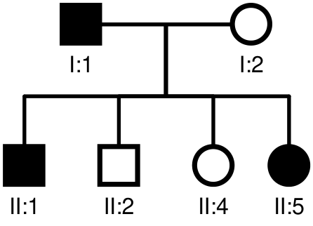Heredograma apresentando o casal I:1 (macho afetado) e I:2 (fêmea não afetada), com quatro descendentes na geração II: II:1 (macho afetado), II:2 (macho não afetado), II:4 (fêmea não afetada) e II:5 (fêmea afetada).