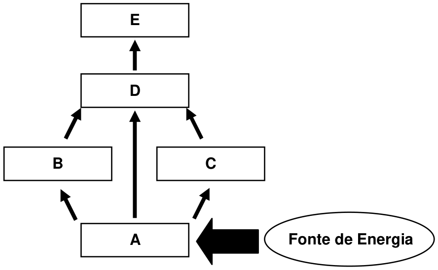 Esquema de uma teia alimentar com caixas retangulares representando os níveis tróficos A, B, C, D e E. Uma seta larga aponta de uma elipse com o texto 'Fonte de Energia' para o nível A, na base. Do nível A partem setas para B, C e D. Dos níveis B e C partem setas para D. Do nível D parte uma seta para o nível E, no topo.
