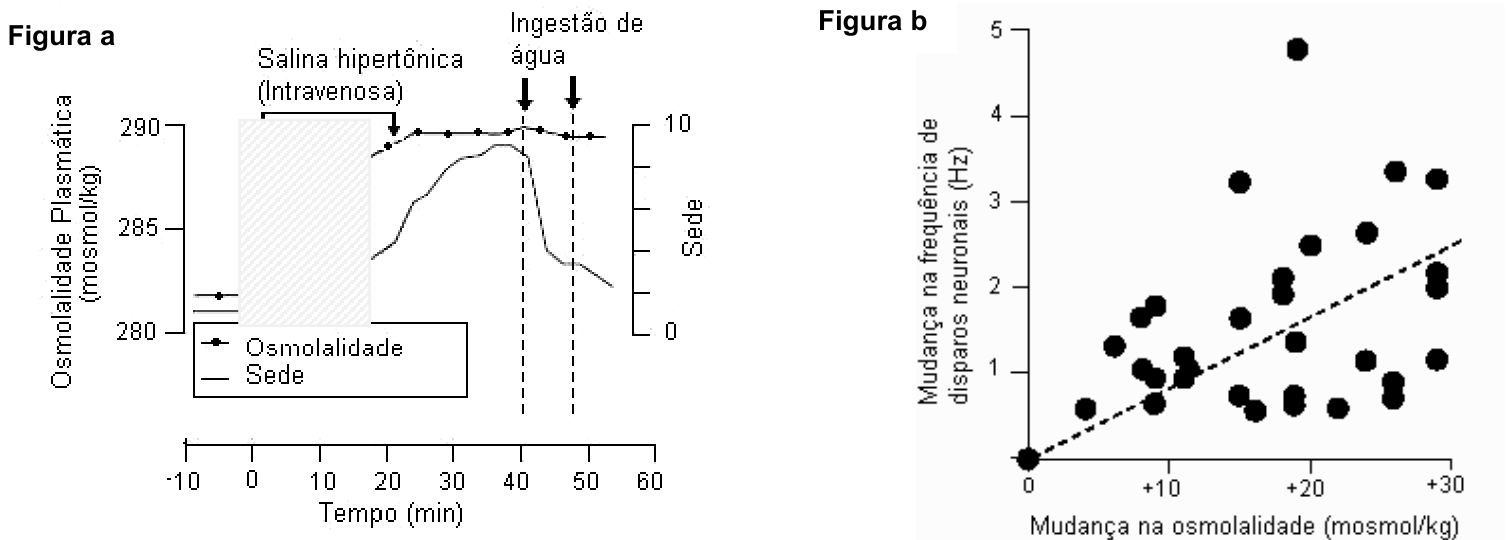 Dois gráficos, identificados como Figura a e Figura b. Na Figura a, o eixo horizontal indica Tempo (min), de −10 a 60; o eixo vertical esquerdo indica Osmolalidade Plasmática (mosmol/kg), com valores 280, 285 e 290; o eixo vertical direito indica Sede, de 0 a 10. A legenda distingue Osmolalidade, representada por linha com marcadores, e Sede, representada por linha contínua. Uma faixa hachurada e uma seta indicam Salina hipertônica (Intravenosa). Após essa administração, a osmolalidade e a sede aumentam. Duas setas, próximas de 40 e 50 minutos, indicam Ingestão de água, com linhas verticais tracejadas; a sede então diminui acentuadamente, enquanto a osmolalidade permanece próxima de 290. Na Figura b, um gráfico de dispersão apresenta Mudança na osmolalidade (mosmol/kg) no eixo horizontal, com marcas 0, +10, +20 e +30, e Mudança na frequência de disparos neuronais (Hz) no eixo vertical, de 0 a 5. Os pontos estão dispersos e uma reta tracejada ascendente indica uma tendência de aumento da frequência de disparos com o aumento da osmolalidade.