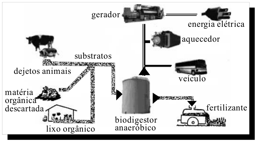 Esquema da biodigestão anaeróbica: dejetos animais, matéria orgânica descartada e lixo orgânico entram como substratos em um biodigestor anaeróbico. Da saída inferior, obtém-se fertilizante; da saída superior, o gás gerado alimenta um gerador que produz energia elétrica, um aquecedor e um veículo.