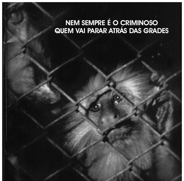Fotografia em preto e branco de um macaco encarcerado atrás de uma tela de arame, acompanhada pelo texto: "NEM SEMPRE É O CRIMINOSO QUEM VAI PARAR ATRÁS DAS GRADES".