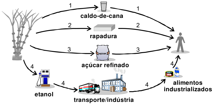 Esquema mostrando quatro vias numeradas de 1 a 4 para a obtenção de energia pelo ser humano a partir da cana-de-açúcar. À esquerda, uma planta de cana-de-açúcar direciona quatro caminhos que chegam à figura humana à direita: o caminho 1 passa por caldo-de-cana; o caminho 2 passa por rapadura; o caminho 3 passa por açúcar refinado; o caminho 4 passa sucessivamente por etanol, transporte/indústria e alimentos industrializados.