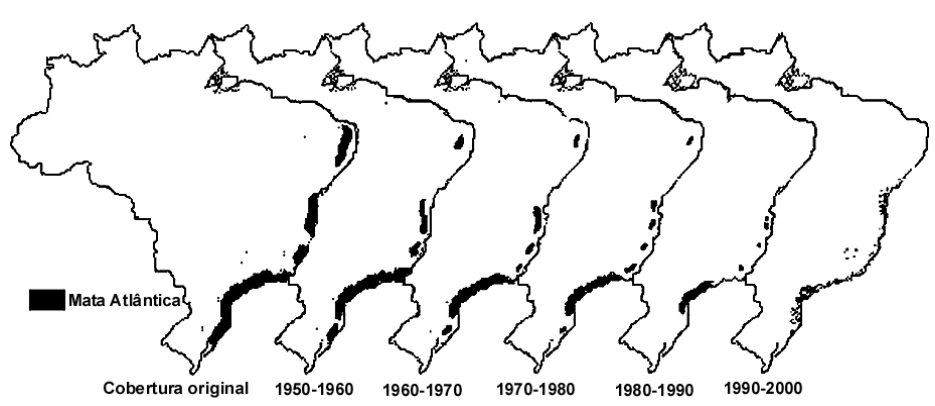 Série de mapas do Brasil ilustrando a redução progressiva da cobertura de Mata Atlântica ao longo do tempo: Cobertura original, 1950-1960, 1960-1970, 1970-1980, 1980-1990 e 1990-2000.