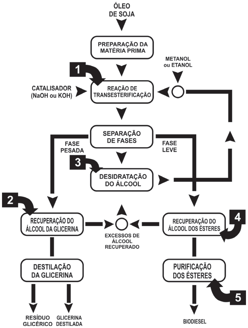 Fluxograma do processo de produção de biodiesel a partir de óleo de soja com etapas numeradas de 1 a 5: 1 aponta para a reação de transesterificação; 2 para a recuperação do álcool da glicerina; 3 para a desidratação do álcool; 4 para a recuperação do álcool dos ésteres; 5 para a purificação dos ésteres.