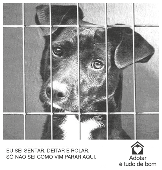 Campanha de adoção de animais mostrando um cão preto com mancha branca no peito atrás das grades de uma gaiola ou canil, acompanhado do texto "EU SEI SENTAR, DEITAR E ROLAR. SÓ NÃO SEI COMO VIM PARAR AQUI." e o logotipo da campanha "Adotar é tudo de bom", com o desenho de uma casinha com um coração dentro.