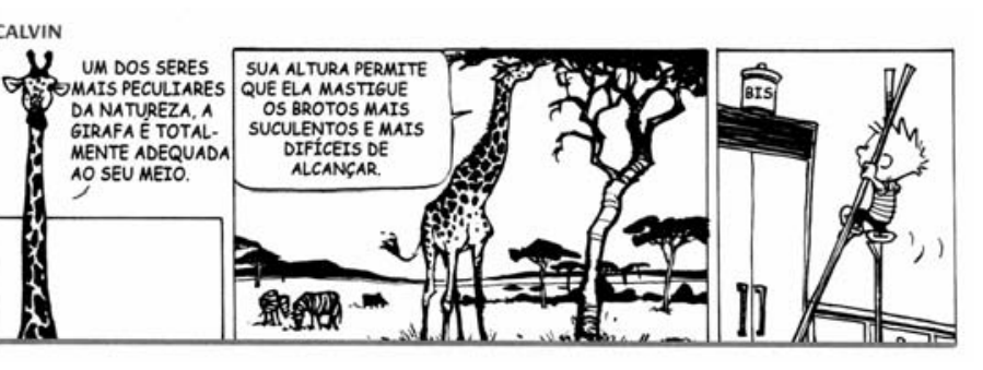F1 Tirinha do Calvin: nos dois primeiros quadros, mostra-se uma girafa na savana enquanto uma narração descreve sua adaptação natural para alcançar brotos altos nas árvores; no terceiro quadro, Calvin usa pernas de pau para alcançar um pote no alto de um armário.