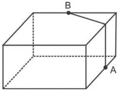 Desenho em perspectiva de um paralelepípedo representando o salão, com o ponto A localizado na extremidade inferior da parede lateral direita e o ponto B localizado na aresta superior do teto. Há uma linha traçada no teto e na parede lateral conectando os dois pontos.