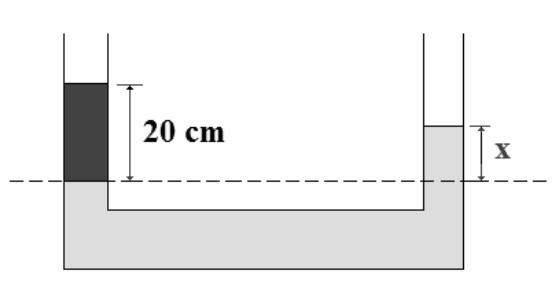 Vasos comunicantes em formato de U contendo dois líquidos imiscíveis. No ramo da esquerda, há um líquido mais escuro que preenche uma coluna de altura indicada como 20 cm acima de uma linha tracejada horizontal de referência (nível de separação). No fundo e no ramo da direita, há um líquido mais claro, cuja coluna atinge uma altura x acima do nível de separação.