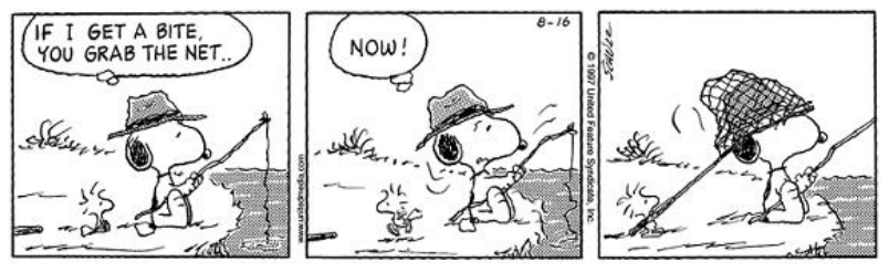 Tirinha de três quadros de Charles Schulz com os personagens Snoopy e Woodstock pescando à beira d'água. No primeiro quadro, Snoopy segura a vara de pescar e diz a Woodstock: "IF I GET A BITE, YOU GRAB THE NET..". No segundo quadro, a linha de pesca é puxada bruscamente e Snoopy pensa em um balão: "NOW!". No terceiro quadro, Woodstock arremessa a rede de pesca cobrindo a cabeça e o chapéu de Snoopy.