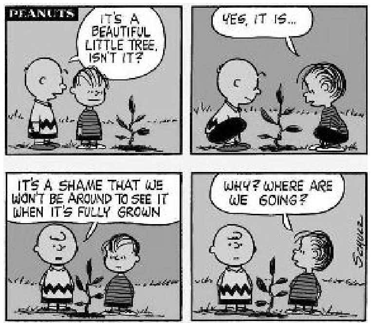 Tirinha de Peanuts composta por quatro quadrinhos. No primeiro quadrinho, Charlie Brown e Linus estão em pé ao lado de uma pequena muda de árvore, e Charlie Brown diz: "IT'S A BEAUTIFUL LITTLE TREE, ISN'T IT?". No segundo quadrinho, os dois se agacham diante da planta, e Linus responde: "YES, IT IS...". No terceiro quadrinho, em pé novamente, Linus comenta: "IT'S A SHAME THAT WE WON'T BE AROUND TO SEE IT WHEN IT'S FULLY GROWN". No quarto quadrinho, Charlie Brown olha confuso para Linus e pergunta: "WHY? WHERE ARE WE GOING?".