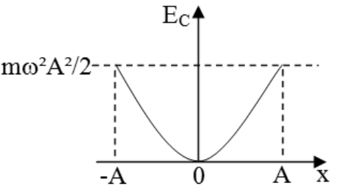 Gráfico de parábola com concavidade para cima, vértice na origem (0, 0) e valor máximo mω²A²/2 em x = -A e x = A.