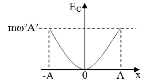 Gráfico de parábola com concavidade para cima, vértice na origem (0, 0) e valor máximo mω²A² em x = -A e x = A.