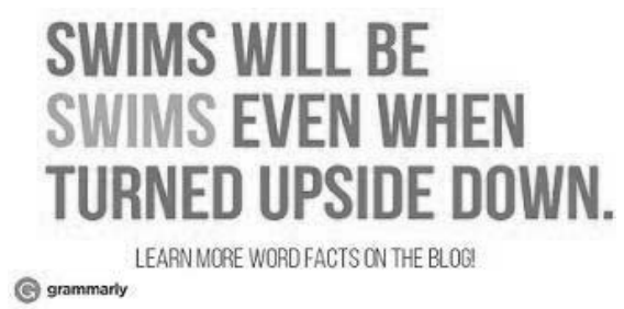 Imagem com o texto: "SWIMS WILL BE SWIMS EVEN WHEN TURNED UPSIDE DOWN. LEARN MORE WORD FACTS ON THE BLOG!", com o logotipo do Grammarly abaixo.