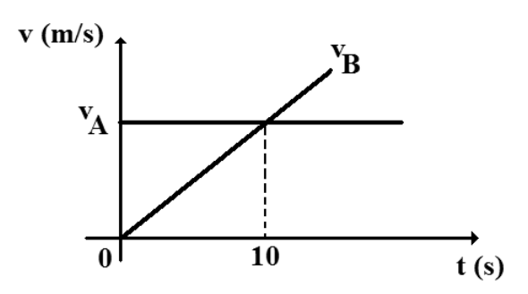 F1 Gráfico da velocidade v (m/s) em função do tempo t (s) dos veículos A e B. A reta horizontal corresponde a v_A e a reta inclinada que parte da origem corresponde a v_B; as retas se cruzam no instante t = 10 s.