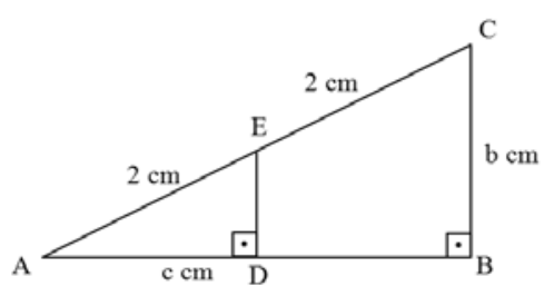 Triângulo retângulo ABC em B, com hipotenusa AC dividida pelo ponto E em dois segmentos de medida 2 cm (AE = 2 cm e EC = 2 cm). O segmento ED é perpendicular ao cateto AB no ponto D. Os comprimentos indicados são AD = c cm e BC = b cm.
