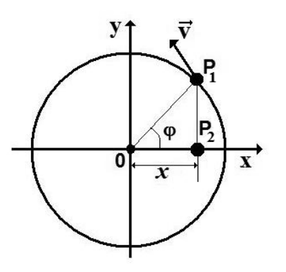 Circunferência centrada na origem 0 de um plano cartesiano com eixos x e y. O ponto P1 está no primeiro quadrante sobre a circunferência, com o vetor velocidade v tangente no sentido anti-horário e segmento ligando a origem a P1 formando um ângulo phi com o semieixo x positivo. O ponto P2 é a projeção ortogonal de P1 sobre o eixo x, cuja posição a partir da origem é indicada pela medida x.