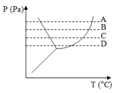 F1 Diagrama de fases em função de P (Pa) e T (°C), com curvas de equilíbrio e quatro linhas tracejadas horizontais representando as transformações isobáricas A, B, C e D