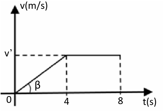 Gráfico da velocidade em função do tempo, com eixo vertical v(m/s) e eixo horizontal t(s). A velocidade cresce linearmente de zero, em t = 0, até v’, em t = 4 s, e permanece constante até t = 8 s. O ângulo entre o trecho crescente e o eixo horizontal é β. Linhas tracejadas indicam o nível v’ e os tempos 4 e 8.