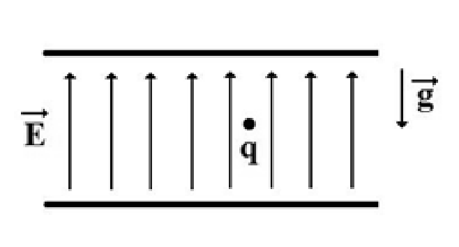 F1 Duas placas metálicas paralelas e horizontais delimitando uma região com linhas de campo elétrico verticais voltadas para cima, indicadas pelo vetor E à esquerda. No interior da região há uma partícula pontual q. À direita, um vetor g vertical aponta para baixo.