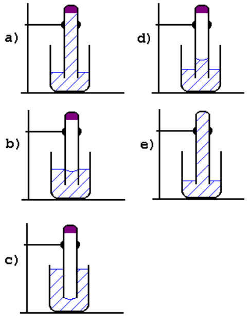 Cinco opções de esquemas experimentais identificados de a a e: em a, a água sobe pelo tubo até quase a palha de aço; em b, o nível de água dentro do tubo desce; em c, o nível de água no béquer sobe cobrindo quase todo o tubo; em d, a água sobe no tubo cerca de um quinto de sua altura; em e, a água preenche totalmente o tubo e a palha de aço desapareceu.