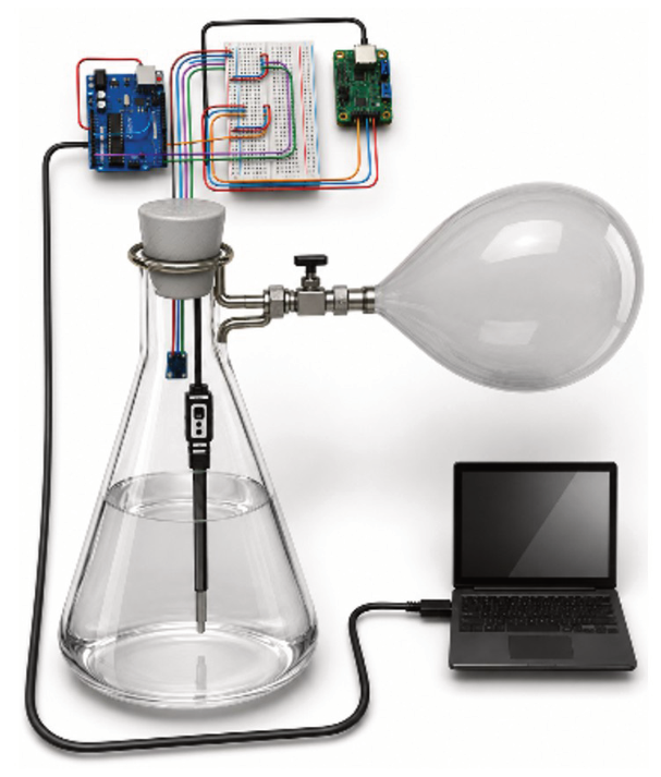 Montagem experimental contendo um frasco cônico tampado com água no fundo, um sensor de condutividade elétrica imerso na água e um sensor de pressão na fase gasosa, conectado lateralmente por tubulação com registro a um balão inflado com gás, e com conexões elétricas ligadas a circuitos em uma protoboard e a um computador portátil.